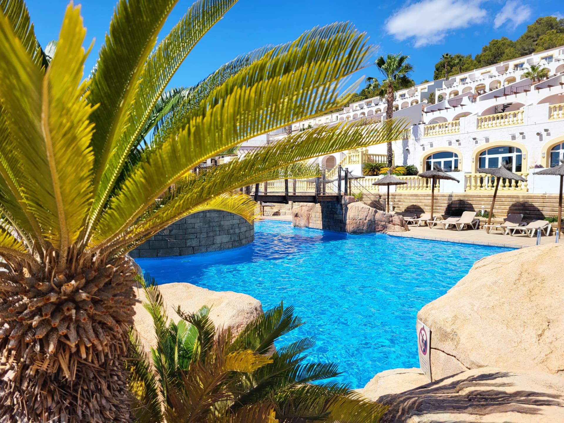 Zwembad met palmen bij een resort aan de Costa Blanca